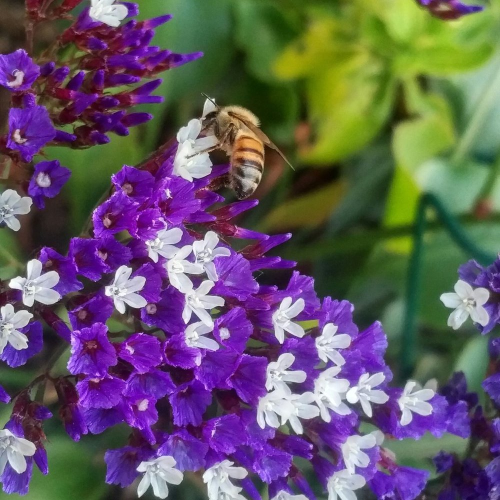 Meet your Posher, Debra